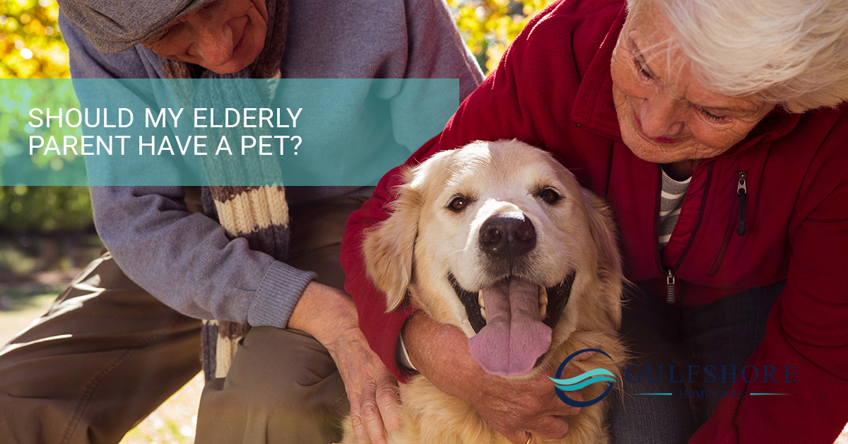 Should-My-Elderly-Parent-Have-a-Pet-5b16cb9206365